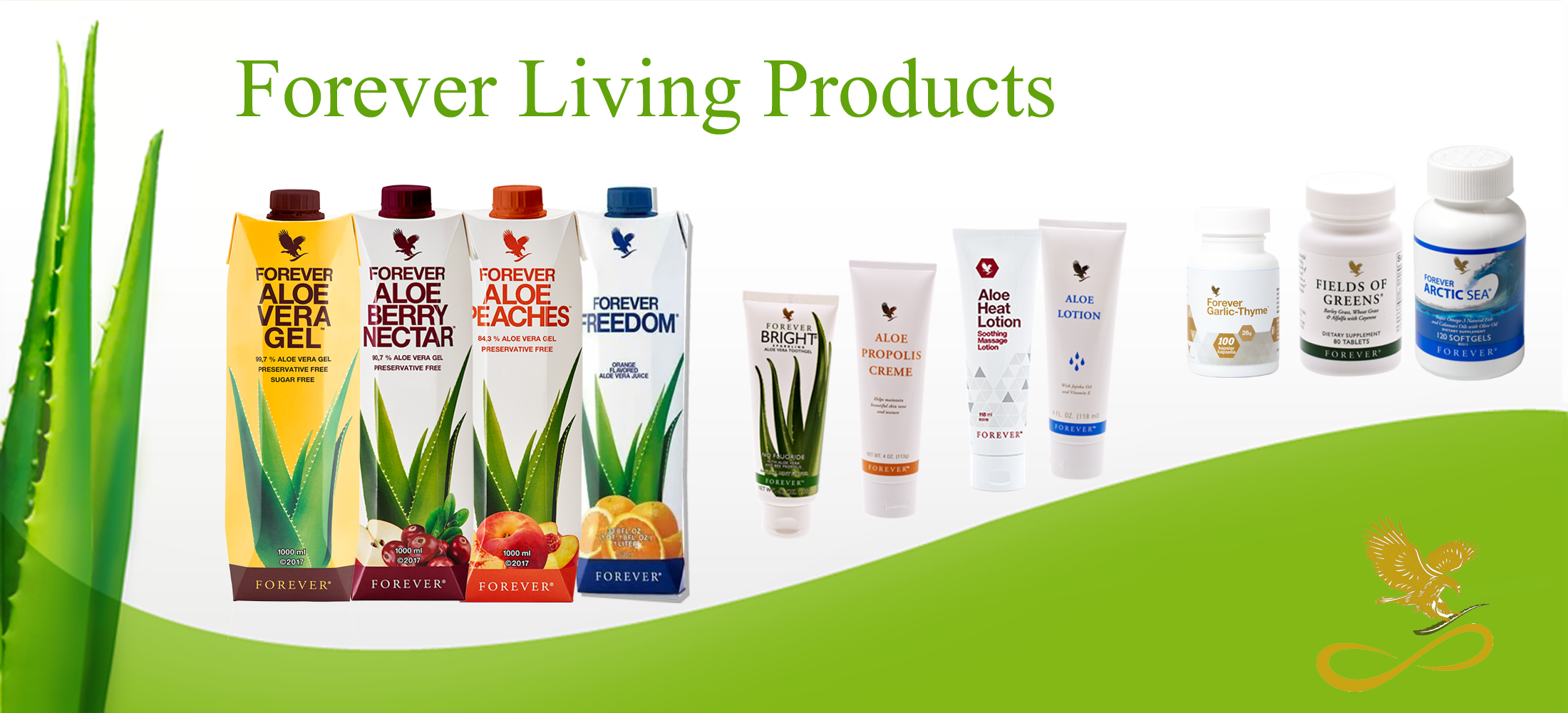 FLP-slide2200x1000-T.png